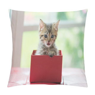 Personality  Cat In The Box Pillow Covers