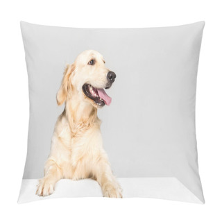 Personality  Dog With Empty Blank Pillow Covers