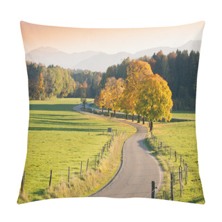 Personality  Winding Country Road Through Autumnal Landscape Pillow Covers