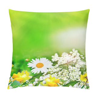 Personality  Summer Landscape. Wildflowers Daisies Pillow Covers