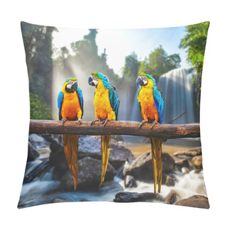 Personality  Blue-and-Yellow Macaw Ara Ararauna Pillow Covers