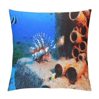 Personality  Unusual Saltwater Fish  Pillow Covers