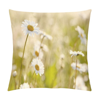 Personality  Daisies At Dawn Pillow Covers