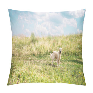 Personality  Friendly Golden Retriever Dog On Beautiful Meadow With Cloudy Sky Pillow Covers