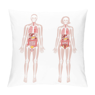 Personality  Human Woman Skeleton And Internal Organs Anatomy Pillow Covers