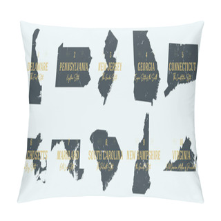 Personality  Set 1 Of 5 Highly Detailed Vector Silhouettes Of USA State Maps  Pillow Covers