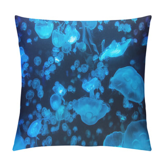 Personality  Aurelia Jellyfish Aurita Colored Translucent Color And Dark Background Pillow Covers