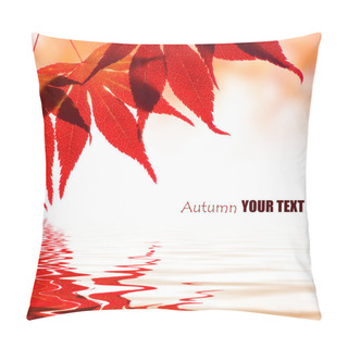 Personality  Autumn Leaves Reflected In Water Pillow Covers