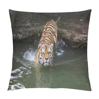 Personality  Siberian Tiger (Panthera Tigris Altaica) Pillow Covers