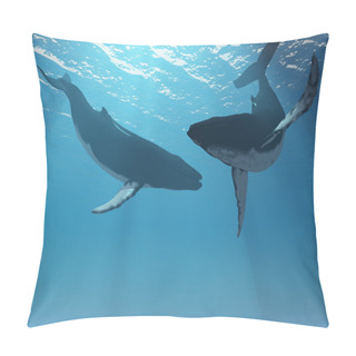 Personality  Whale Wonders Pillow Covers