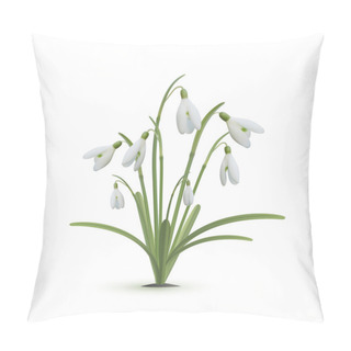 Personality  Snowdrop Flowers On White Background. Pillow Covers