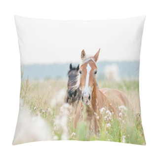 Personality  Horses In Field Pillow Covers