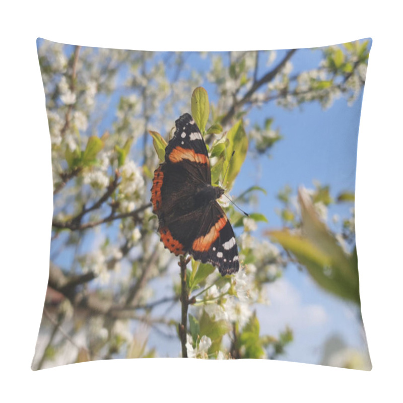 Personality  vanessa atalanta butterfly aka red admiral or red admirable on cherry tree flower pillow covers