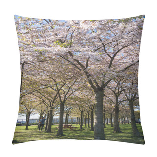 Personality  Girl In Park With Beautiful Blossoming Trees, Copenhagen, Denmark Pillow Covers