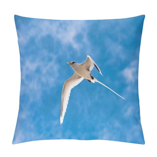 Personality  White-tailed Tropicbird (Phaethon Lepturus) In Flight Over Bird Island, Seychelles, Indian Ocean, Africa Pillow Covers