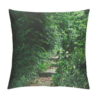 Personality  Stairway In Beautiful Forest With Green Trees In Hamburg, Germany  Pillow Covers