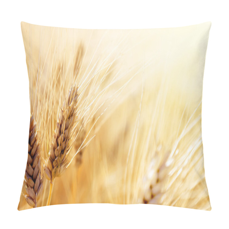 Personality  Wheat field pillow covers