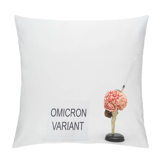 Personality  Card With Omicron Variant Lettering Near Brain Model With Syringe On Grey Background Pillow Covers