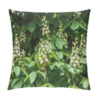 Personality  Flowering Poplar Tree With Green Leaves On Branches Pillow Covers