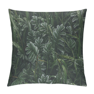 Personality  Plants Pillow Covers