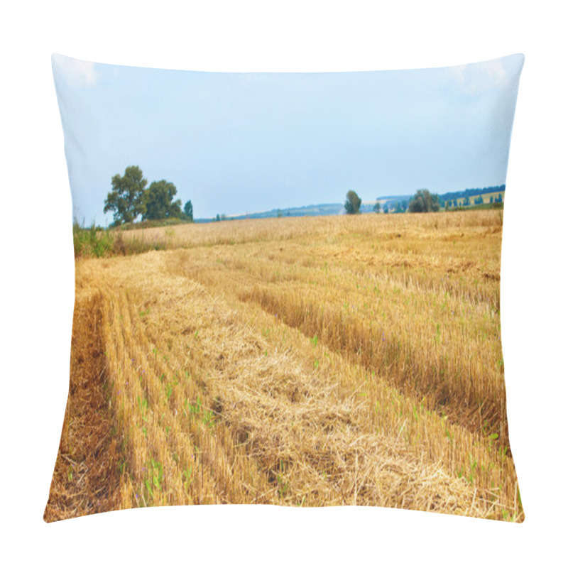 Personality  Wheat Field And Blue Sky. Pillow Covers