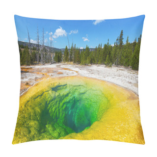 Personality  Morning Glory Pool Pillow Covers