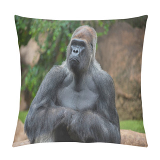 Personality  Portrait Of A West Lowland Silverback Gorilla Pillow Covers