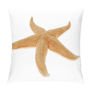 Personality  Starfish Isolated On White Pillow Covers
