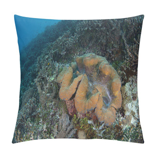 Personality  A Giant Clam, Tridacna Gigas, Grows On A Healthy Coral Reef In Raja Ampat, Indonesia. This Is The Largest Species Of Giant Clam And It Is Sought For Its Meat. It Is Considered An Endangered Species. Pillow Covers