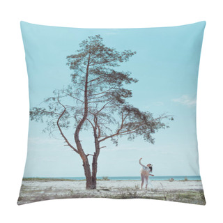 Personality  Brunette Woman In White Swan Costume Standing Near Tree On Sandy Beach Pillow Covers
