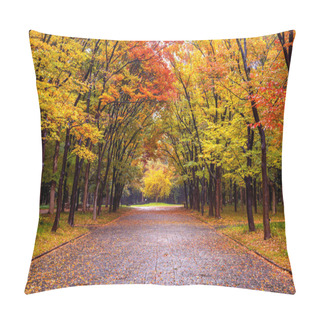 Personality  Colorful Foliage In Autumn Park. Autumn Seasons. Pillow Covers