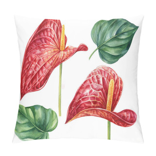 Personality  Exotic Flowers, Red Anthurium On An Isolated White Background. Botanical Illustration, Watercolor Pillow Covers