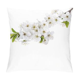Personality  Flowering Apple Blossom Branches Pillow Covers