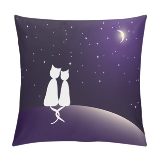 Personality  Couple Of Cats Watching Stars Pillow Covers