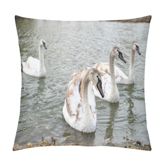 Personality  The Swans Swimming On The River, Beautiful Peaceful Place In Nature Pillow Covers