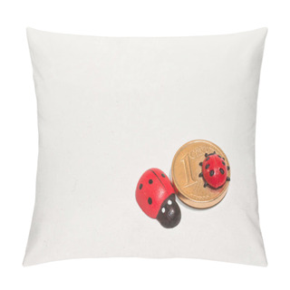 Personality  2 Figures Of Ladybirds And A 1-cent Piece Against White Background Pillow Covers