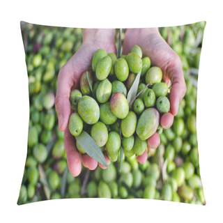 Personality  Hands Holding Olives Pillow Covers