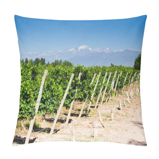 Personality  Vineyards. Volcano Aconcagua Cordillera. Andes Mountain Range, In Maipu, Argentine Province Of Mendoza Pillow Covers