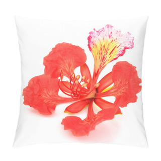 Personality  Pride Of Barbados Flower Pillow Covers