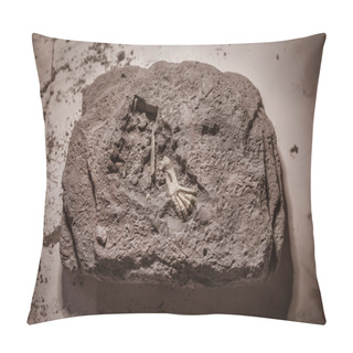 Personality  Dinosaur Fossils, Jurassic Era, Paleontological Excavations Pillow Covers