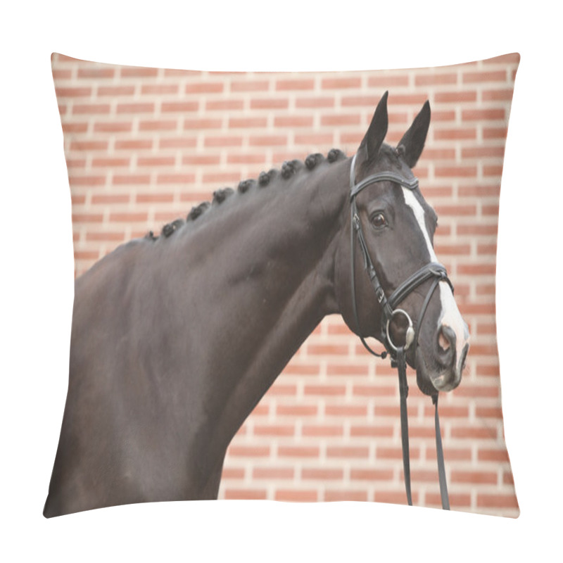 Personality  Nice Big Horse With Perfect Hair Style Pillow Covers