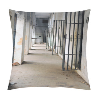 Personality  Jail Pillow Covers