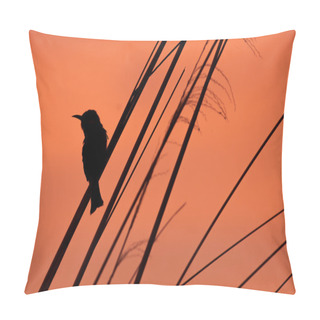 Personality  Bird Sitting On A Branch In Silhouette Pillow Covers