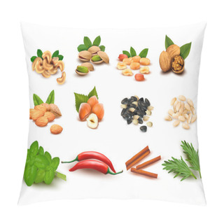 Personality  Big Set Of Ripe Nuts And Seeds And Spices Vector Pillow Covers