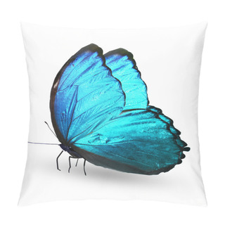 Personality  Blue Butterfly Pillow Covers