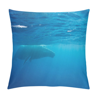 Personality  Humpback Whale At Surface Of Caribbean Pillow Covers