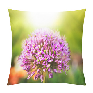 Personality  Purple Allium Blossom Pillow Covers