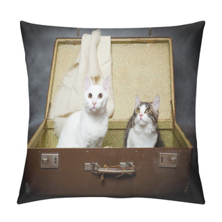 Personality  Pair Of Kittens Hide In An Old Suitcase From Danger Pillow Covers