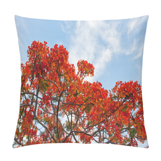Personality  Royal Poinciana Pillow Covers