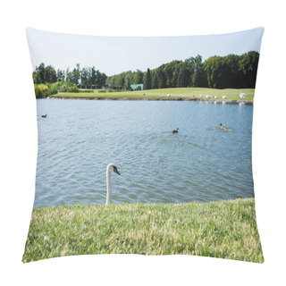 Personality  Selective Focus Of White Swans Swimming In Lake  Pillow Covers
